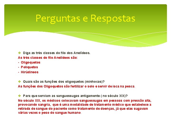 Perguntas e Respostas v Diga as três classes do filo dos Anelídeos. As três