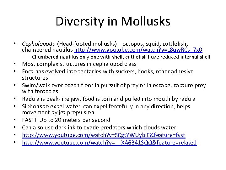 Diversity in Mollusks • Cephalopoda (Head-footed mollusks)—octopus, squid, cuttlefish, chambered nautilus http: //www. youtube.