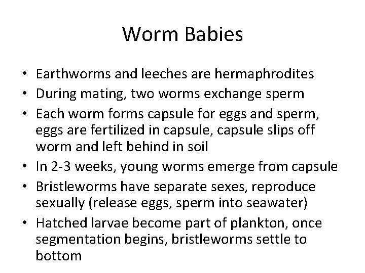 Worm Babies • Earthworms and leeches are hermaphrodites • During mating, two worms exchange