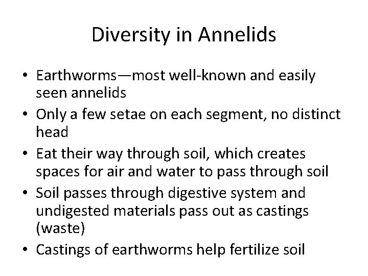Diversity in Annelids • Earthworms—most well-known and easily seen annelids • Only a few