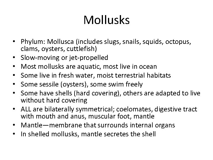 Mollusks • Phylum: Mollusca (includes slugs, snails, squids, octopus, clams, oysters, cuttlefish) • Slow-moving