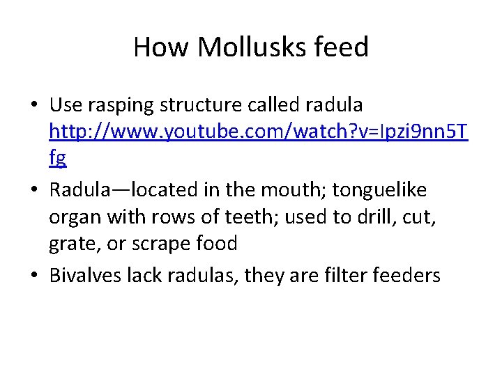 How Mollusks feed • Use rasping structure called radula http: //www. youtube. com/watch? v=Ipzi