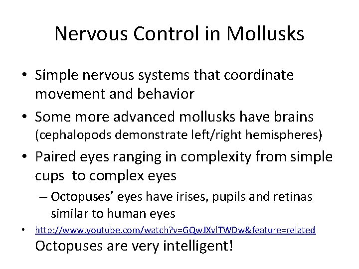 Nervous Control in Mollusks • Simple nervous systems that coordinate movement and behavior •