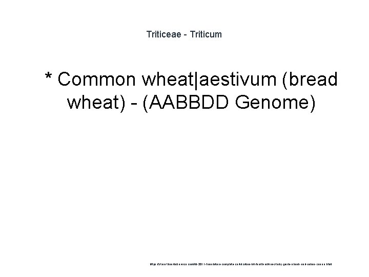 Triticeae - Triticum 1 * Common wheat|aestivum (bread wheat) - (AABBDD Genome) https: //store.