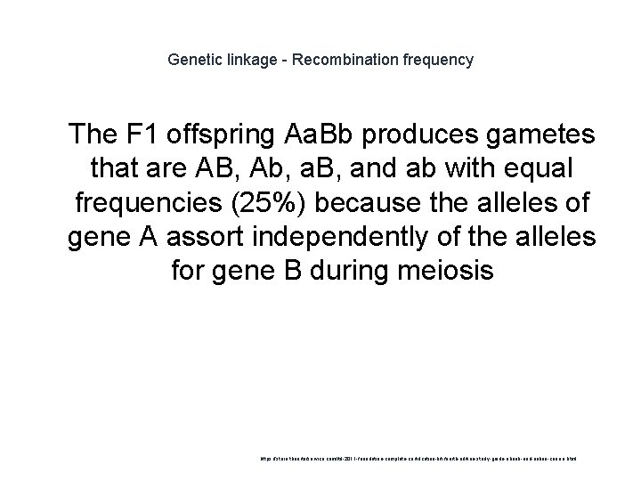 Genetic linkage - Recombination frequency 1 The F 1 offspring Aa. Bb produces gametes