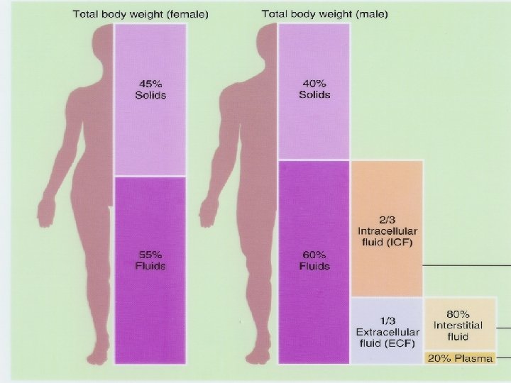 Electrolyte Imbalance l Electrolytes are minerals regulate fluid