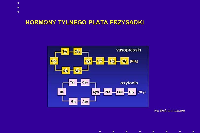 HORMONY TYLNEGO PŁATA PRZYSADKI Wg Endotext. eje. org 