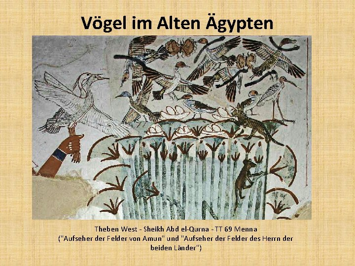 Vögel im Alten Ägypten Theben West - Sheikh Abd el-Qurna - TT 69 Menna