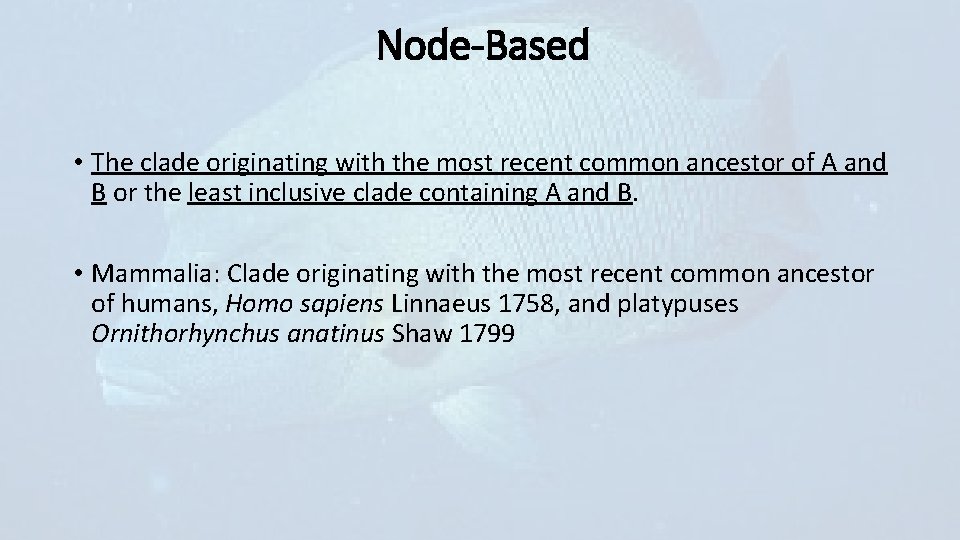 Node-Based • The clade originating with the most recent common ancestor of A and