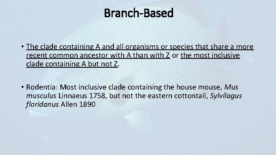 Branch-Based • The clade containing A and all organisms or species that share a