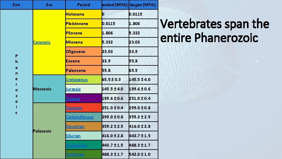 Eon Era Cenozoic P h a n e r o z o i c
