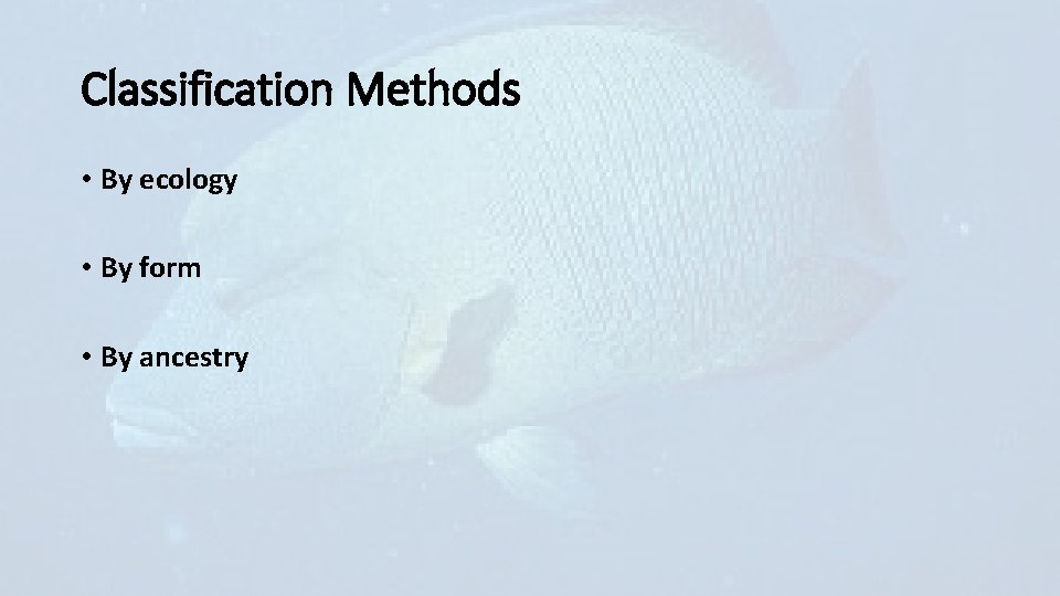 Classification Methods • By ecology • By form • By ancestry 