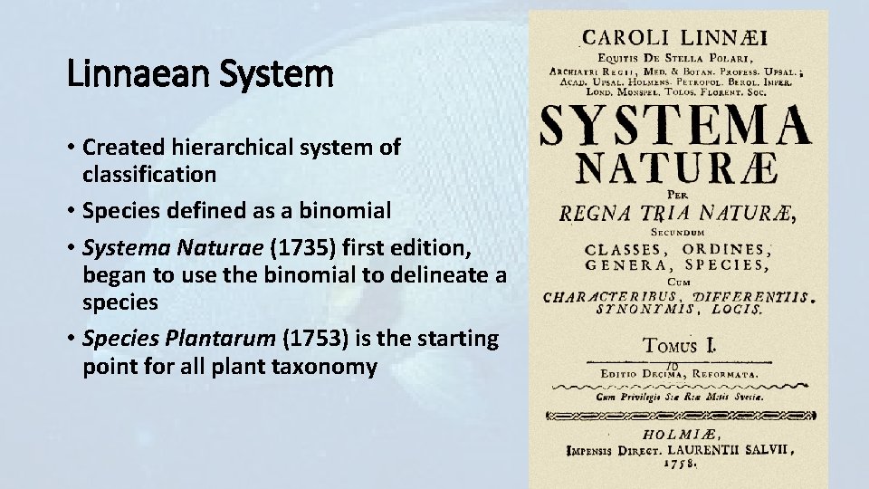 Linnaean System • Created hierarchical system of classification • Species defined as a binomial