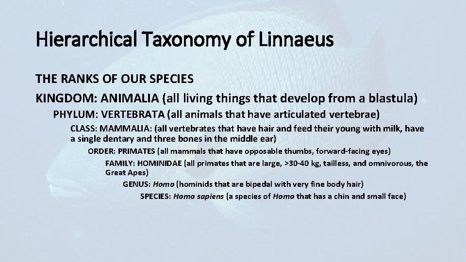 Hierarchical Taxonomy of Linnaeus THE RANKS OF OUR SPECIES KINGDOM: ANIMALIA (all living things