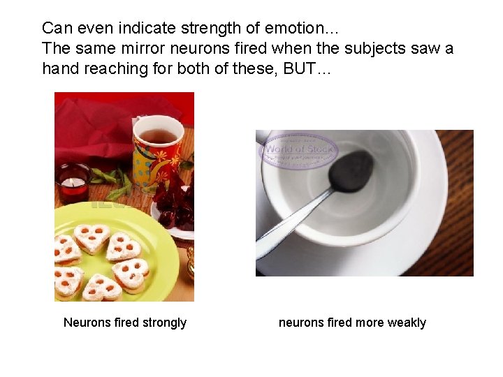 Can even indicate strength of emotion… The same mirror neurons fired when the subjects