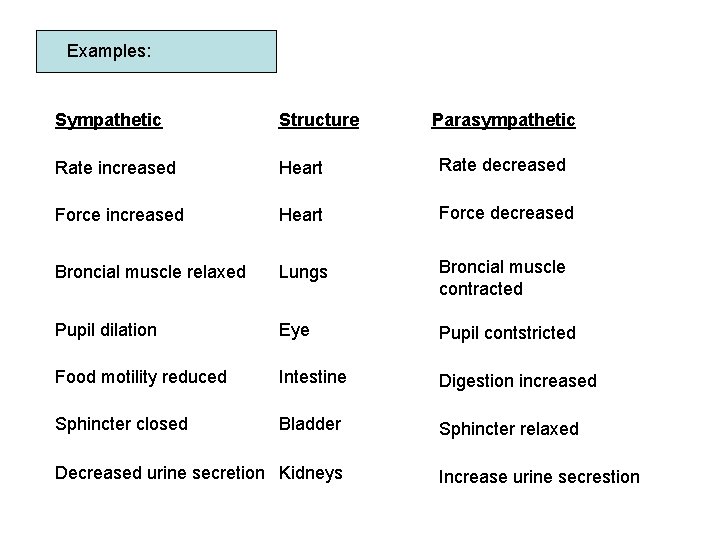 Examples: Sympathetic Structure Rate increased Heart Rate decreased Force increased Heart Force decreased Broncial