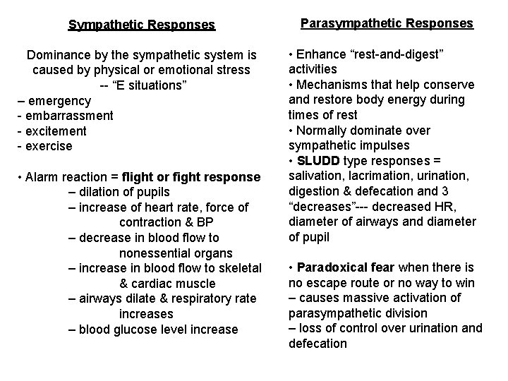 Sympathetic Responses Dominance by the sympathetic system is caused by physical or emotional stress