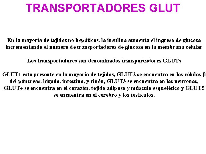 TRANSPORTADORES GLUT En la mayoría de tejidos no hepáticos, la insulina aumenta el ingreso