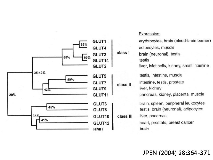 JPEN (2004) 28: 364 -371 