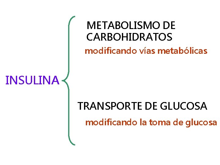 METABOLISMO DE CARBOHIDRATOS modificando vías metabólicas INSULINA TRANSPORTE DE GLUCOSA modificando la toma de