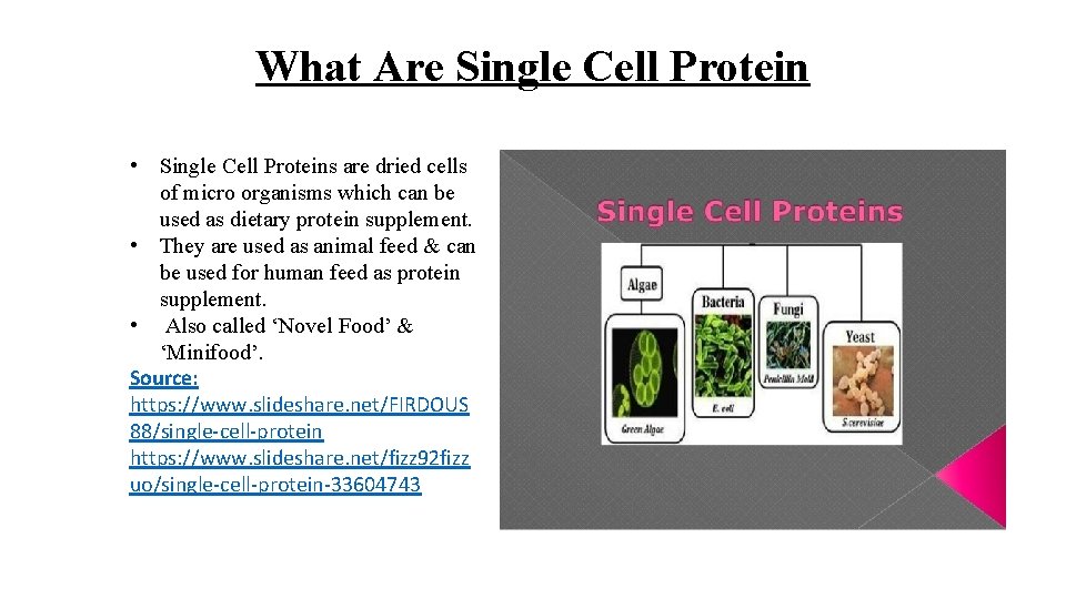 What Are Single Cell Protein • Single Cell Proteins are dried cells of micro