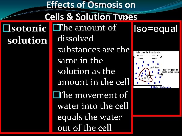 Effects of Osmosis on Cells & Solution Types �Isotonic �The amount of Iso=equal solution