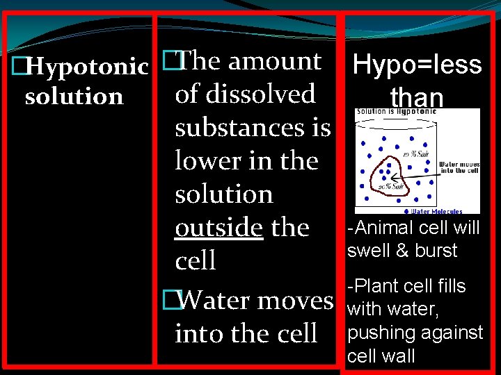 �Hypotonic �The amount of dissolved solution substances is lower in the solution outside the