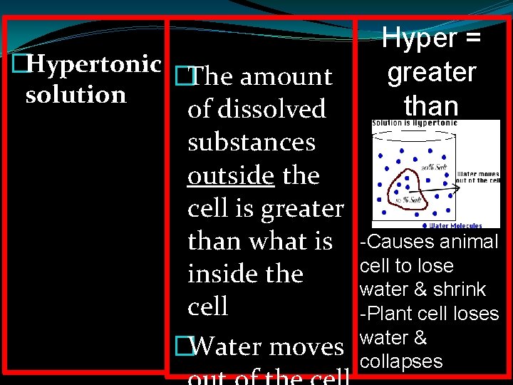 �Hypertonic �The amount solution of dissolved substances outside the cell is greater than what