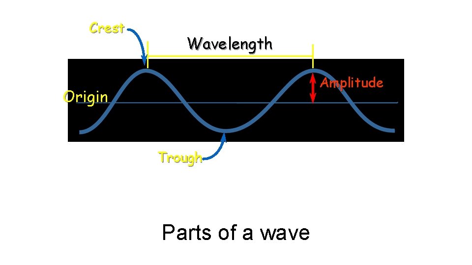 Crest Wavelength Amplitude Origin Trough Parts of a wave 