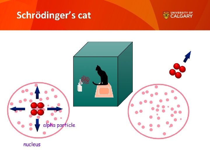 Schrödinger’s cat 