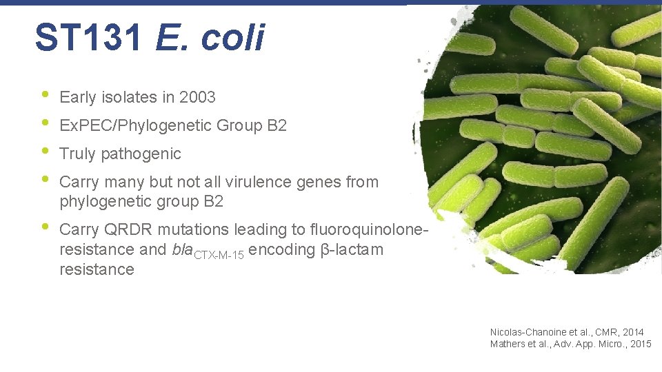 ST 131 E. coli • • Early isolates in 2003 • Carry QRDR mutations