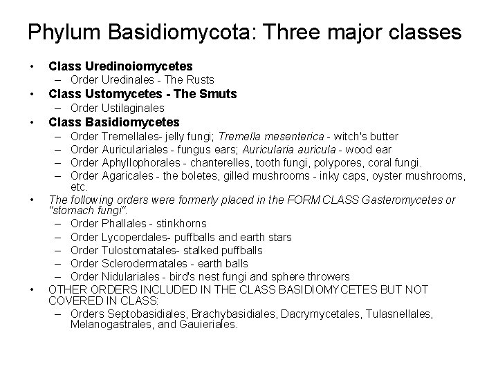 Phylum Basidiomycota: Three major classes • Class Uredinoiomycetes – Order Uredinales - The Rusts