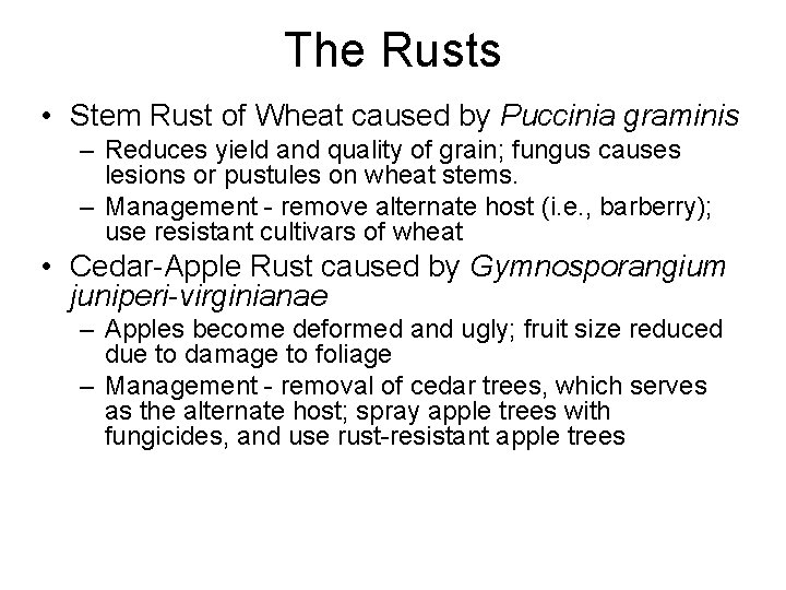The Rusts • Stem Rust of Wheat caused by Puccinia graminis – Reduces yield