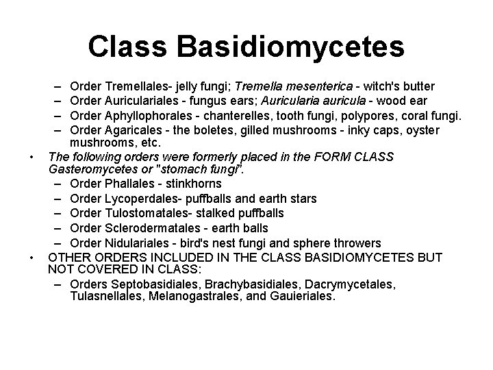 Class Basidiomycetes – – • • Order Tremellales- jelly fungi; Tremella mesenterica - witch's
