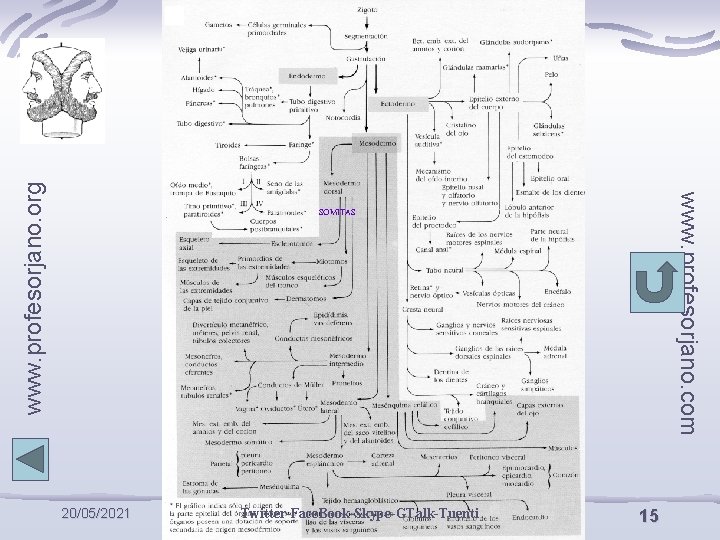 www. profesorjano. org www. profesorjano. com SOMITAS 20/05/2021 Twitter-Face. Book-Skype-GTalk-Tuenti 15 