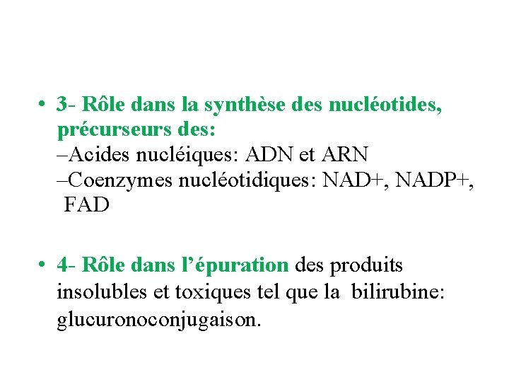  • 3 - Rôle dans la synthèse des nucléotides, précurseurs des: –Acides nucléiques: