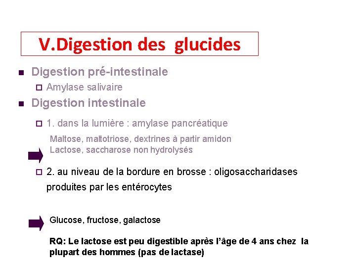 V. Digestion des glucides Digestion pré-intestinale Amylase salivaire Digestion intestinale 1. dans la lumière