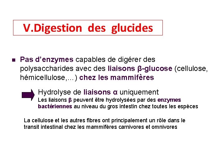 V. Digestion des glucides Pas d’enzymes capables de digérer des polysaccharides avec des liaisons