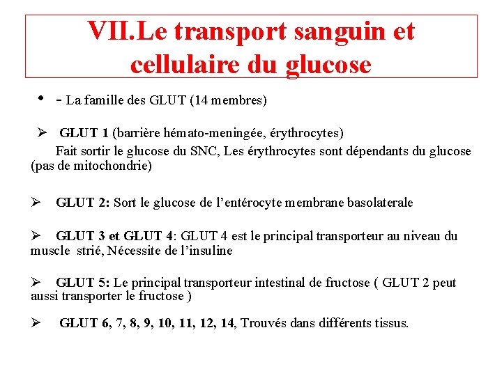 VII. Le transport sanguin et cellulaire du glucose • - La famille des GLUT