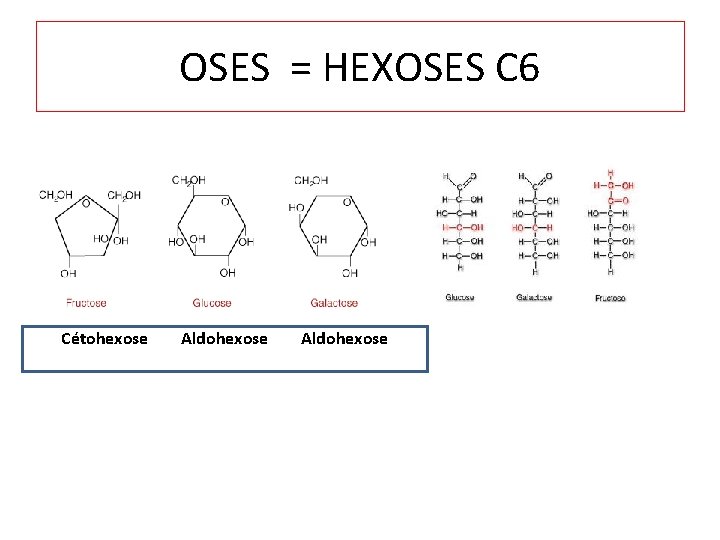 OSES = HEXOSES C 6 Cétohexose Aldohexose 