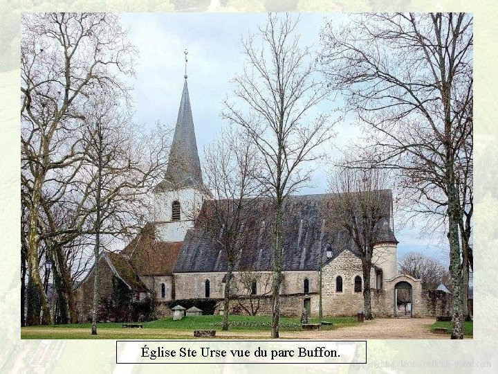 Église Ste Urse vue du parc Buffon. 