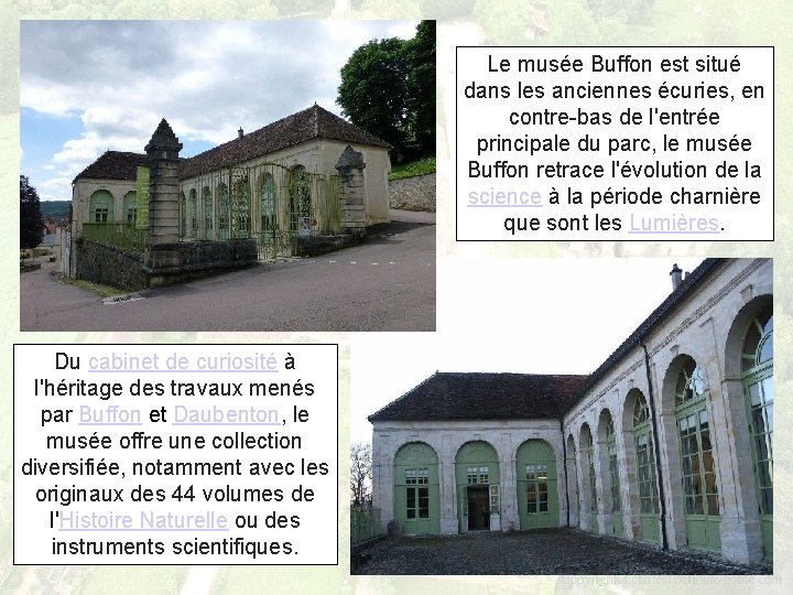 Le musée Buffon est situé dans les anciennes écuries, en contre-bas de l'entrée principale