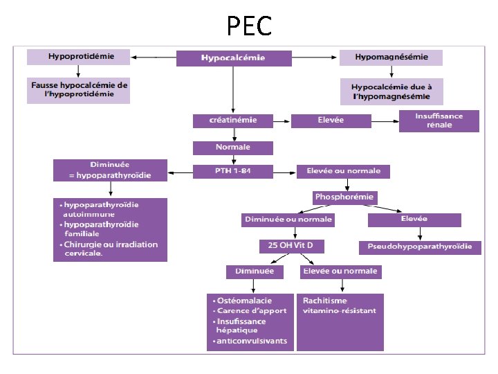 PEC 