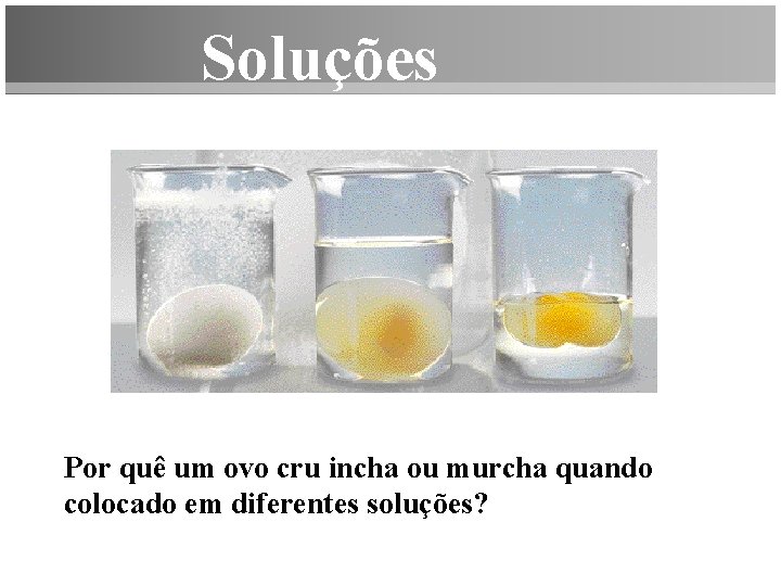 Soluções Por quê um ovo cru incha ou murcha quando colocado em diferentes soluções?