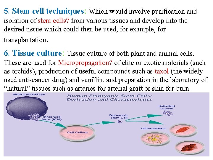 5. Stem cell techniques: Which would involve purification and isolation of stem cells? from