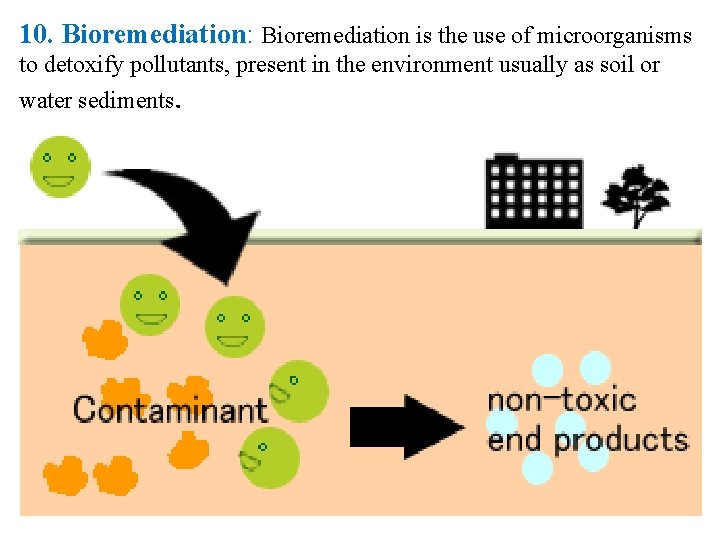 10. Bioremediation: Bioremediation is the use of microorganisms to detoxify pollutants, present in the