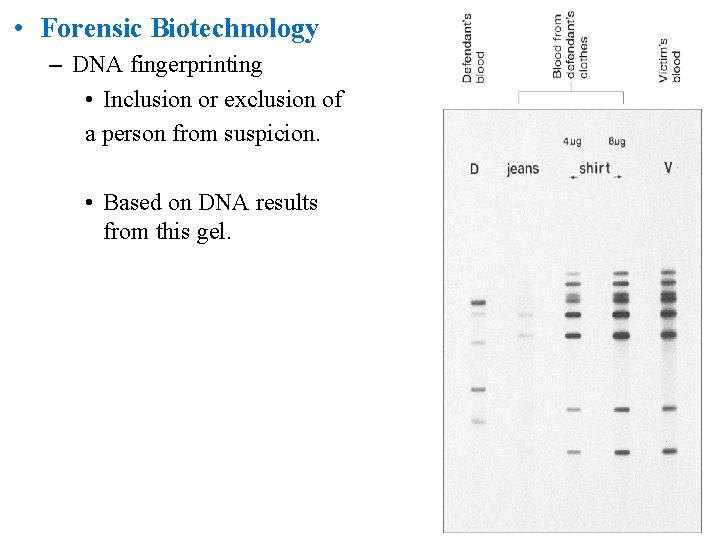  • Forensic Biotechnology – DNA fingerprinting • Inclusion or exclusion of a person