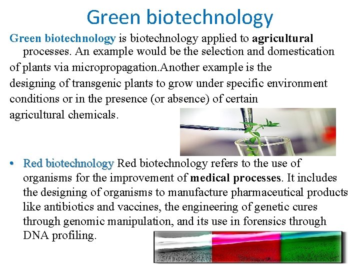 Green biotechnology is biotechnology applied to agricultural processes. An example would be the selection