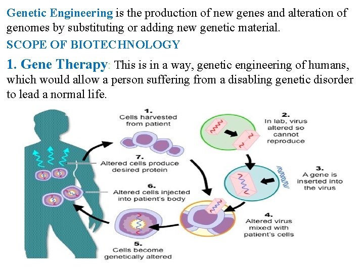 Genetic Engineering is the production of new genes and alteration of genomes by substituting