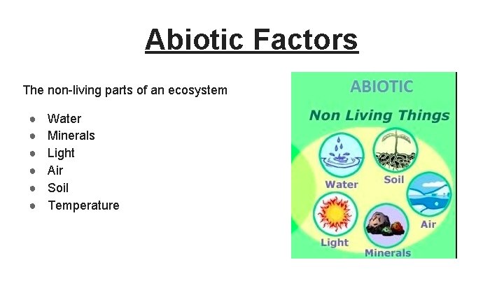 Abiotic Factors The non-living parts of an ecosystem ● ● ● Water Minerals Light